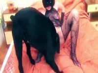 XNXX Porn